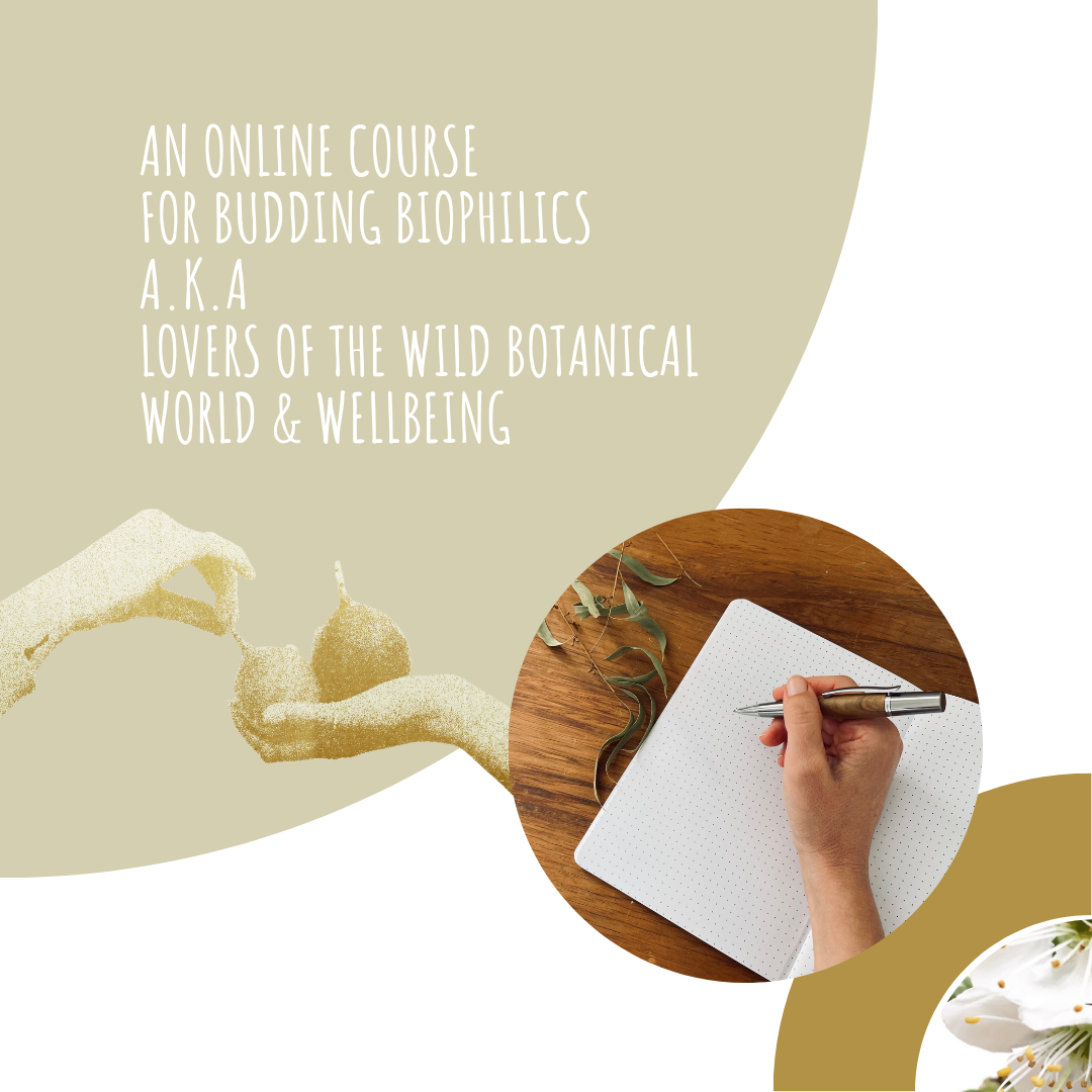 BIOPHILIA | A Journal For Belonging