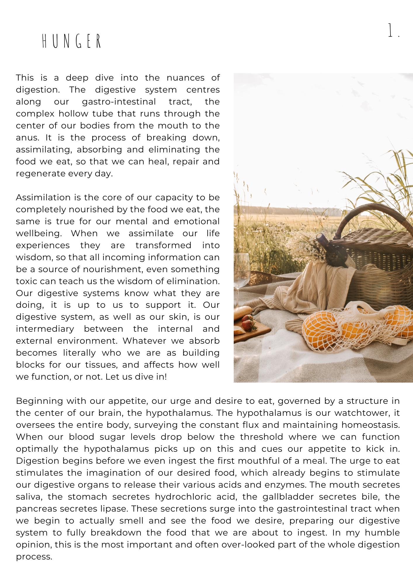 ELEMENTALS | A Journal For Nourishing