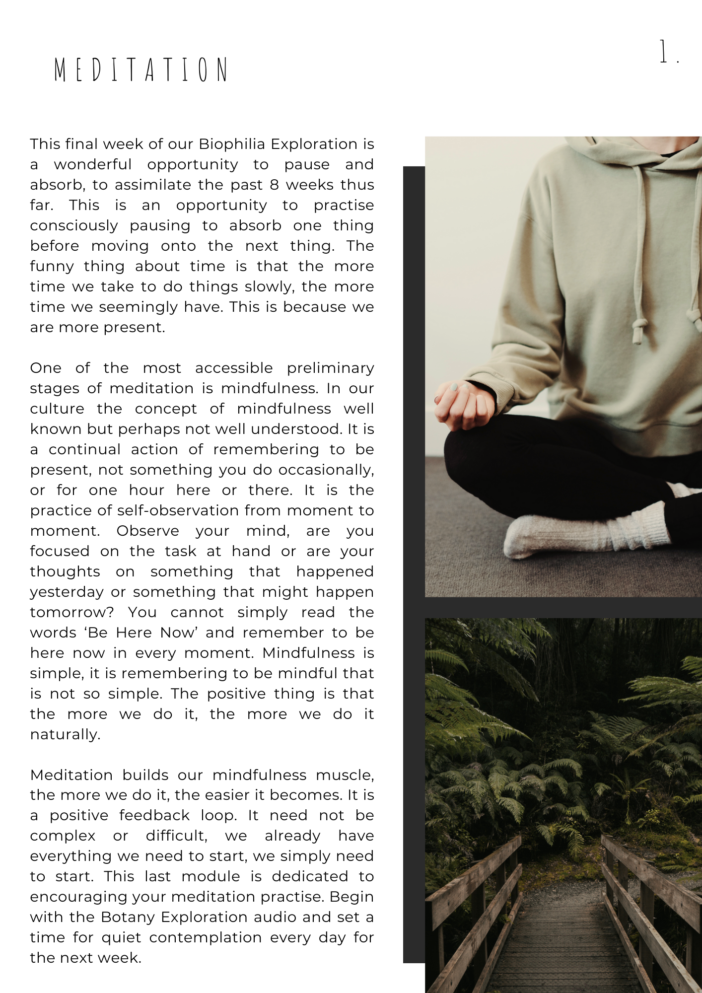 BIOPHILIA | A Journal For Belonging