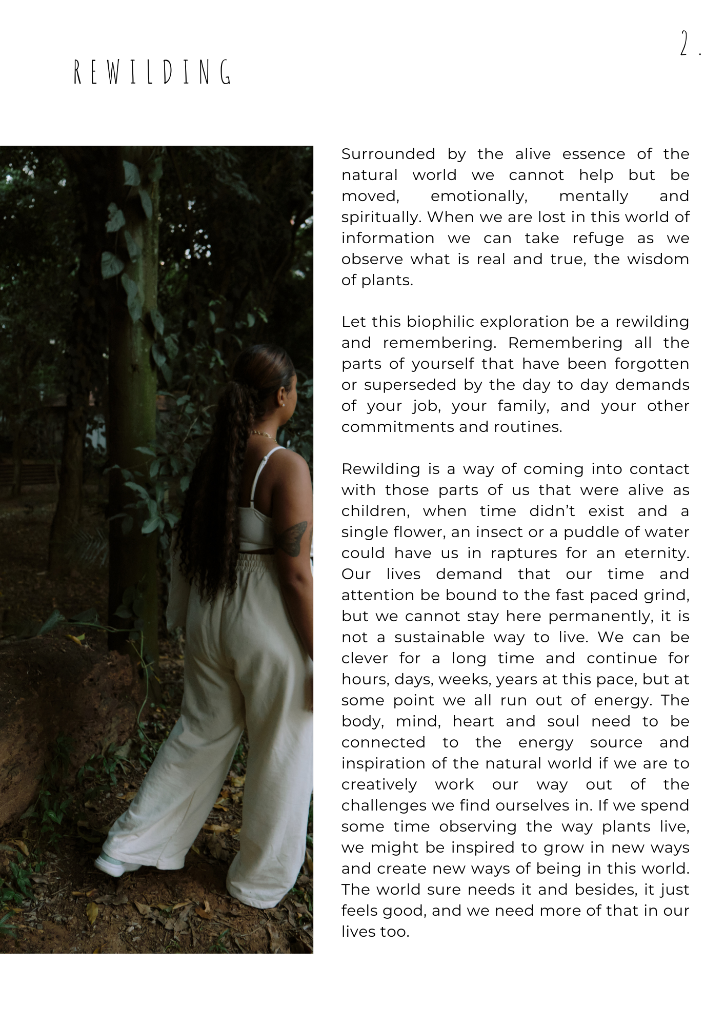 BIOPHILIA | A Journal For Belonging