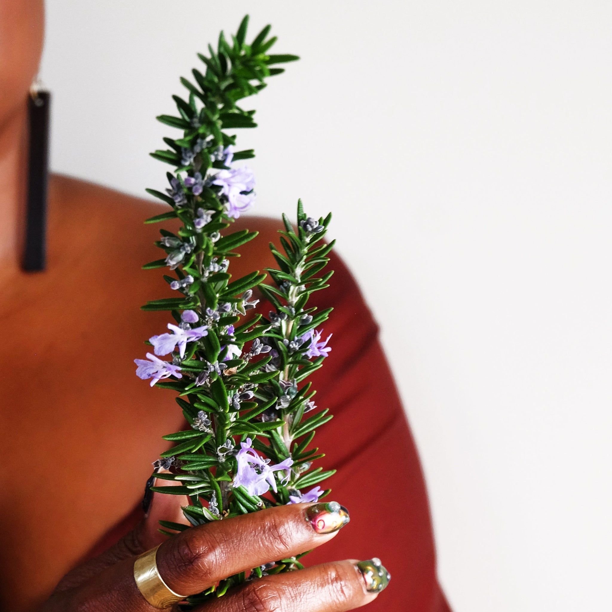 Person holding a sprig of rosemary.