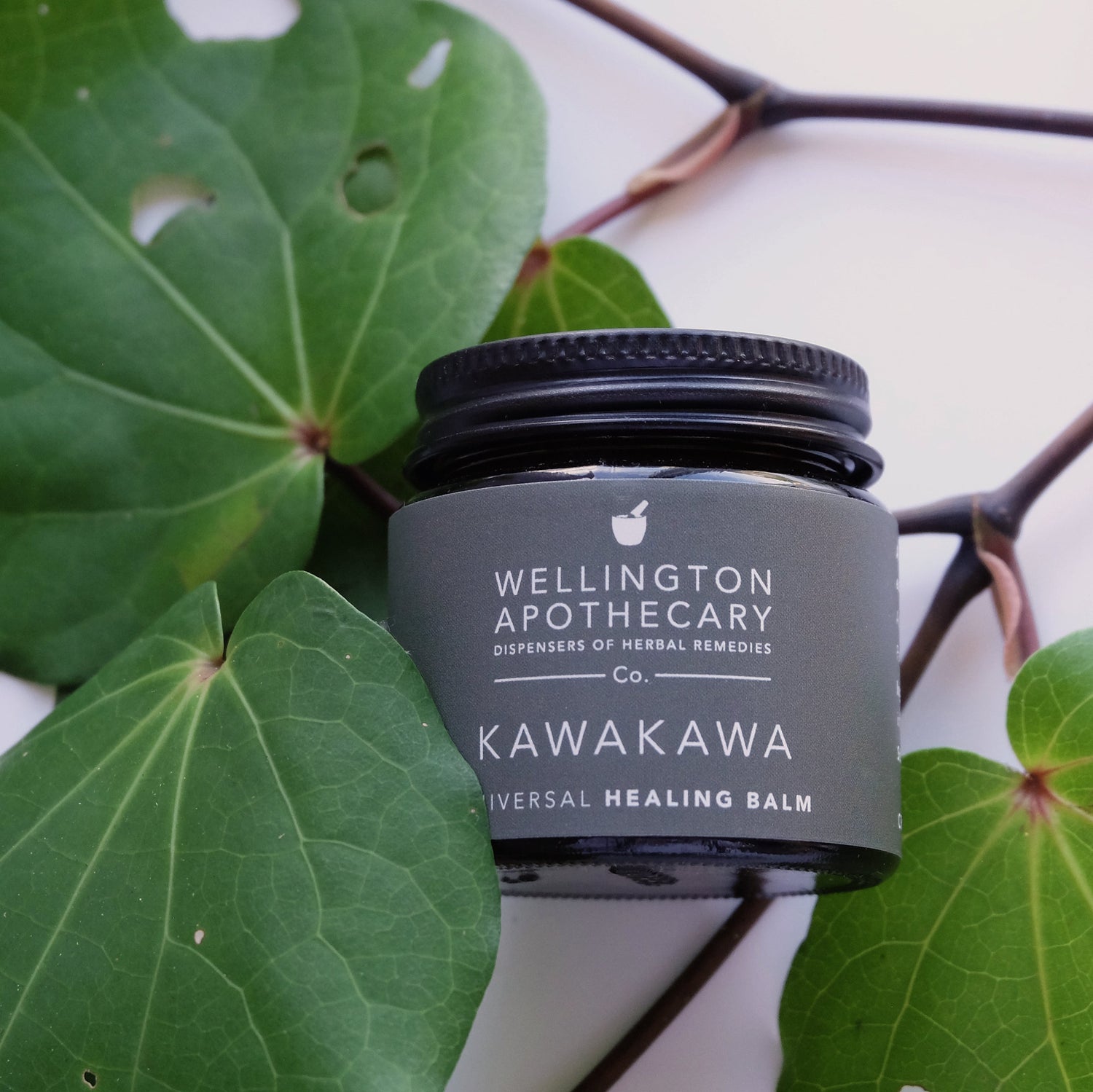 Kawakawa Balm