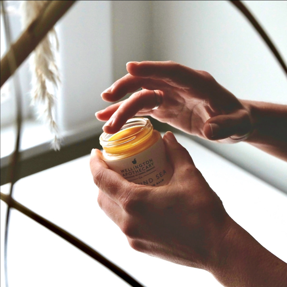 Wellington Apothecary
