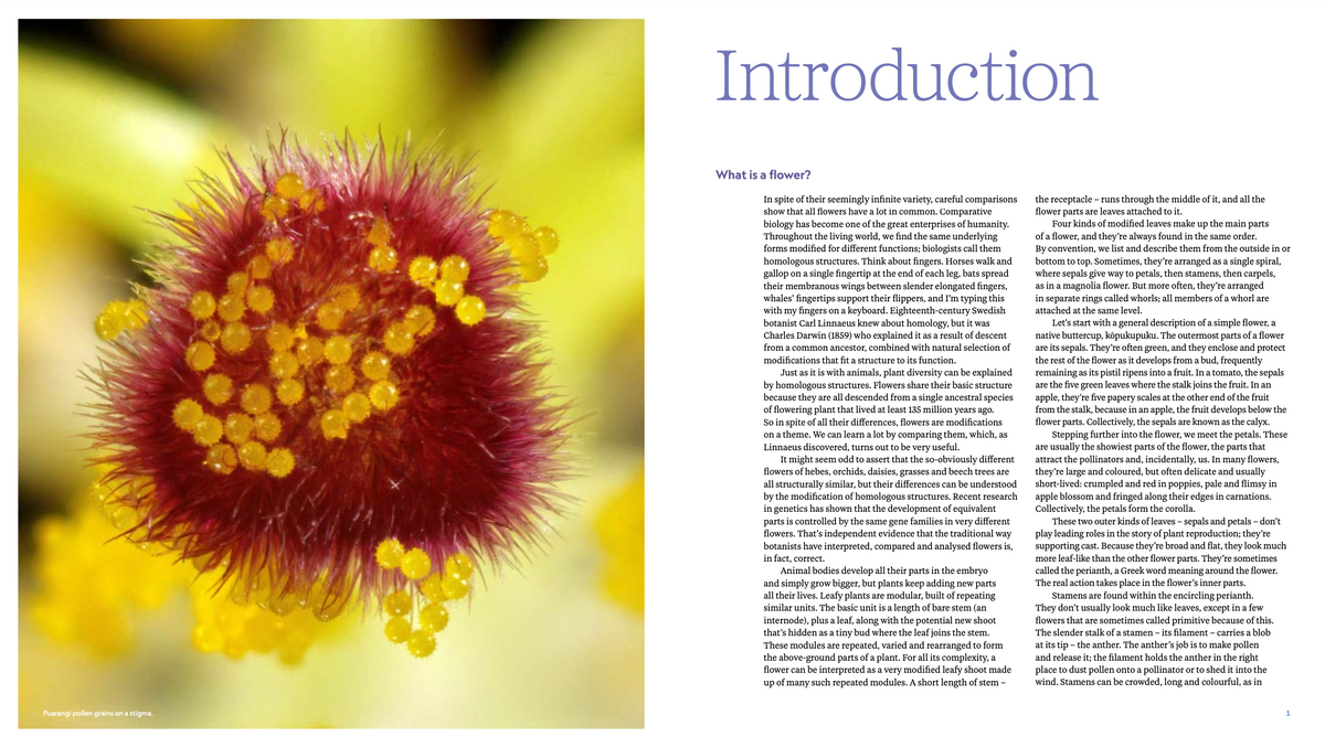 He Puāwai - A Natural History of New Zealand Flowers