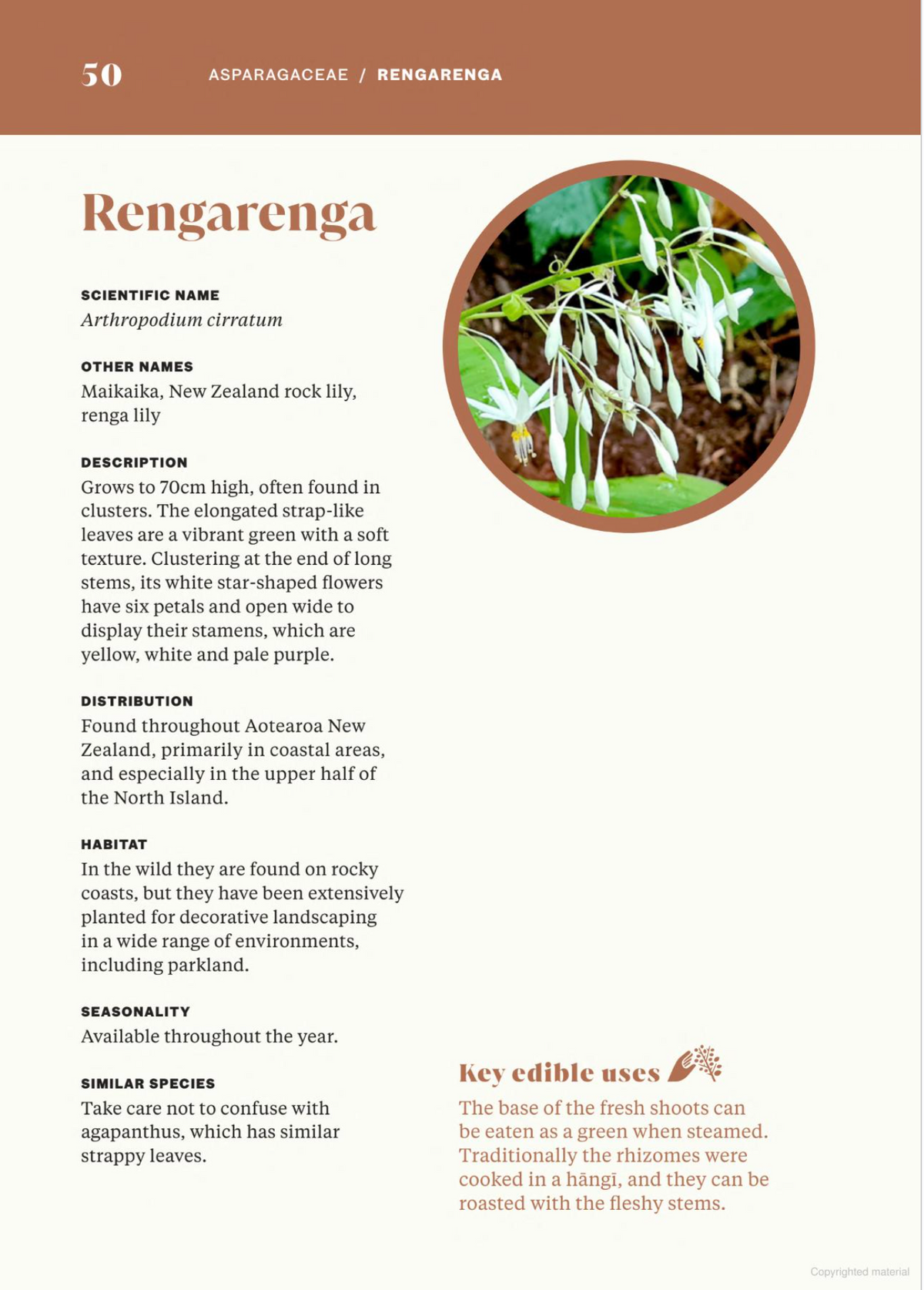 Foraging New Zealand