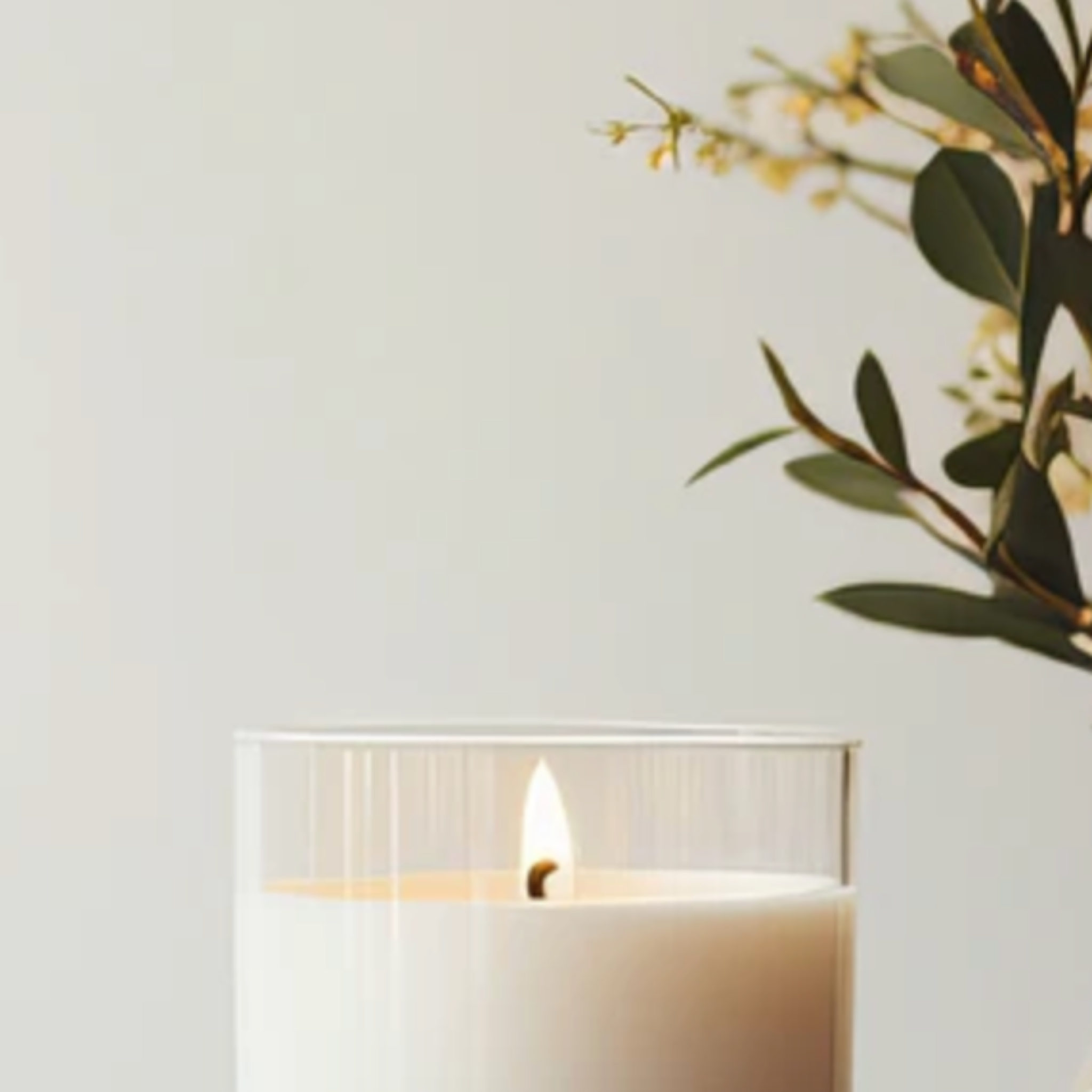 A cream coloured candle burning in a clear glass with foliage to one side and white background.