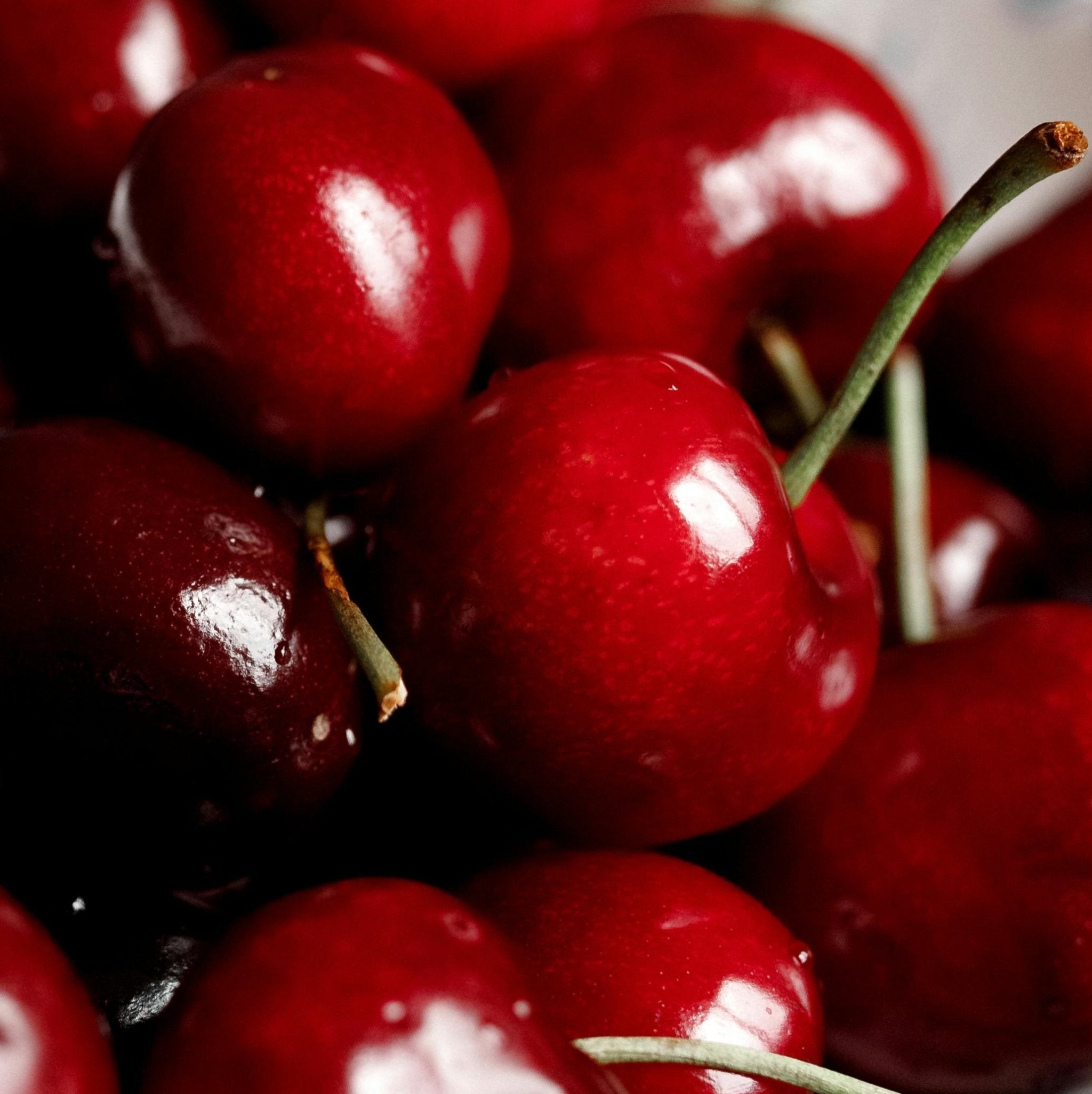 Close up of luscious ripe glossy red cherries.