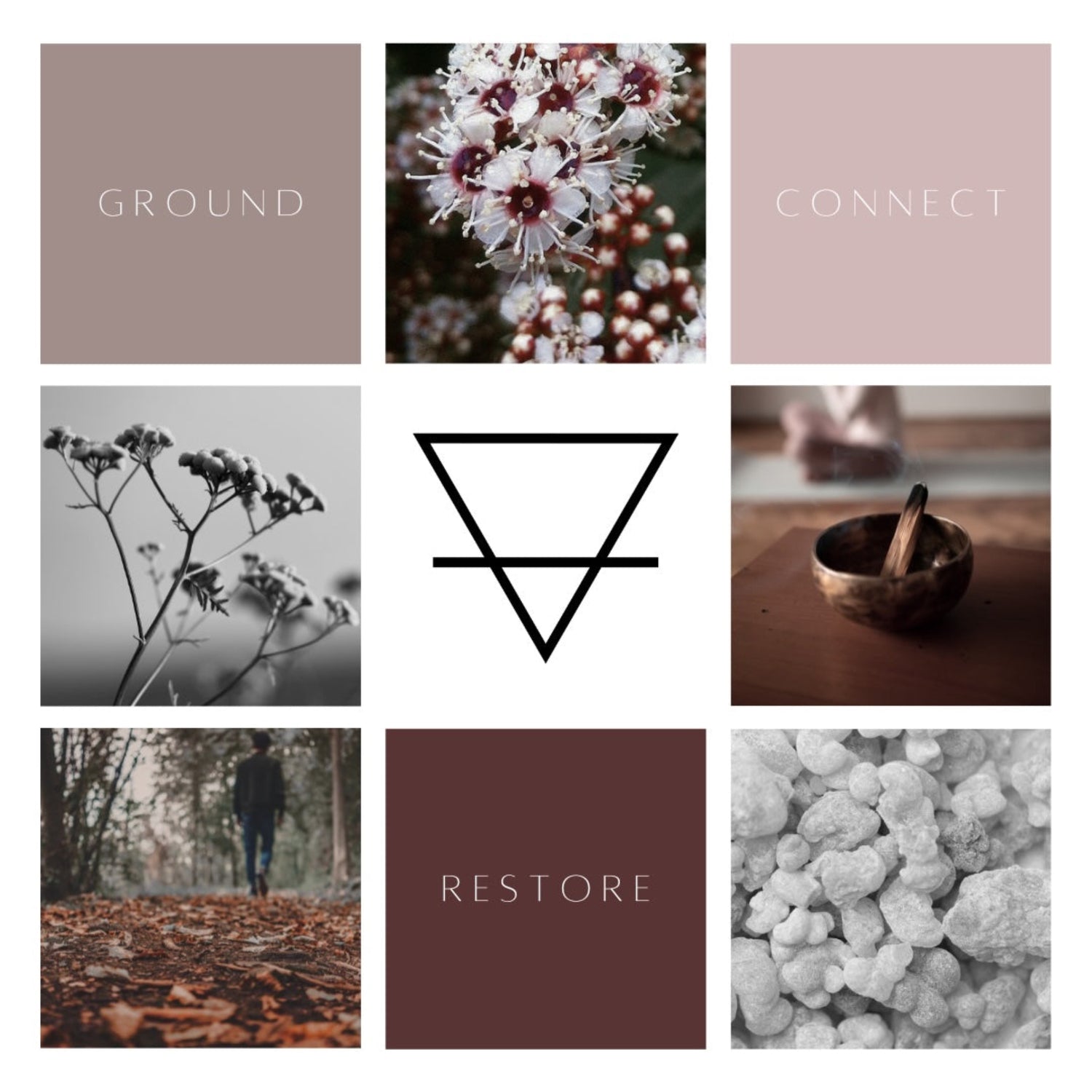 A nine grid collage of images including kānuka, everlasting, frankincense gum, and the alchemical symbol for earth in the centre.