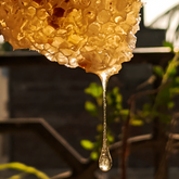 Golden honey dripping from honeycomb with blurred garden background.