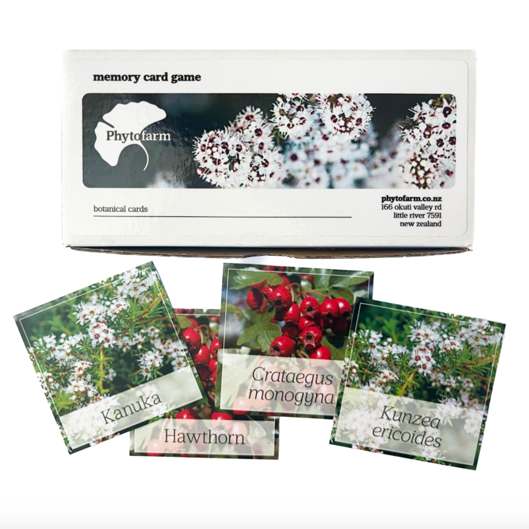 Memory card game box with botanical cards featuring plants and their names.