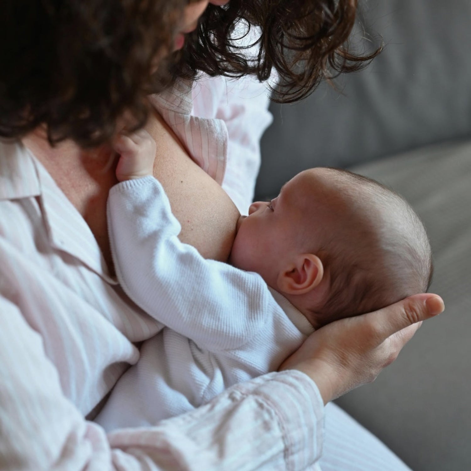 Galactagogue Tea Blend