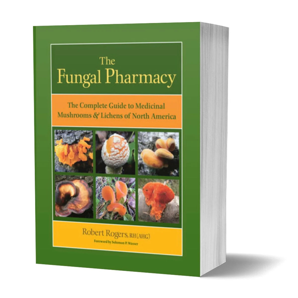 Medicinal Mushrooms - An immersive full day workshop with Robert Rogers