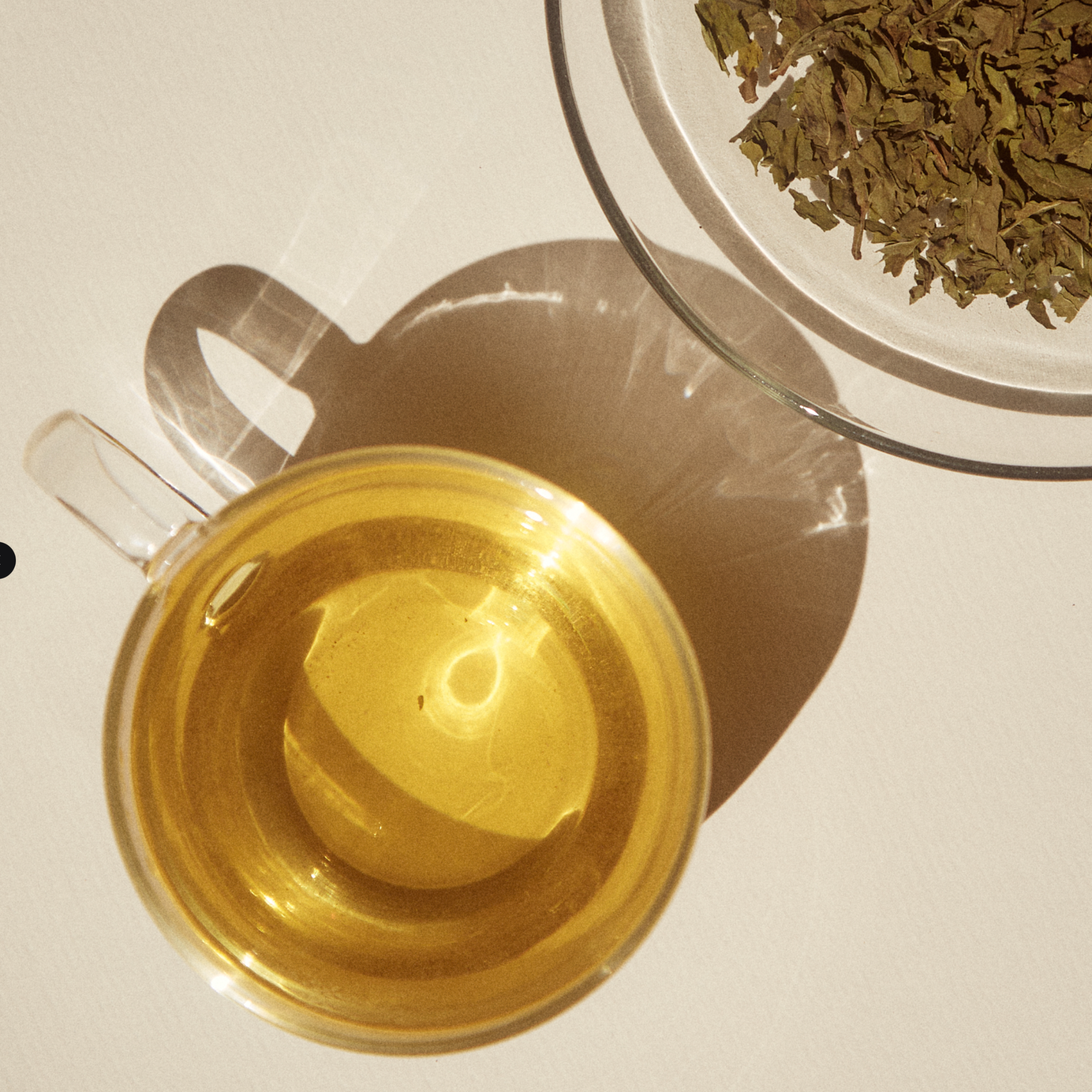 Sencha Green Loose Leaf Tea
