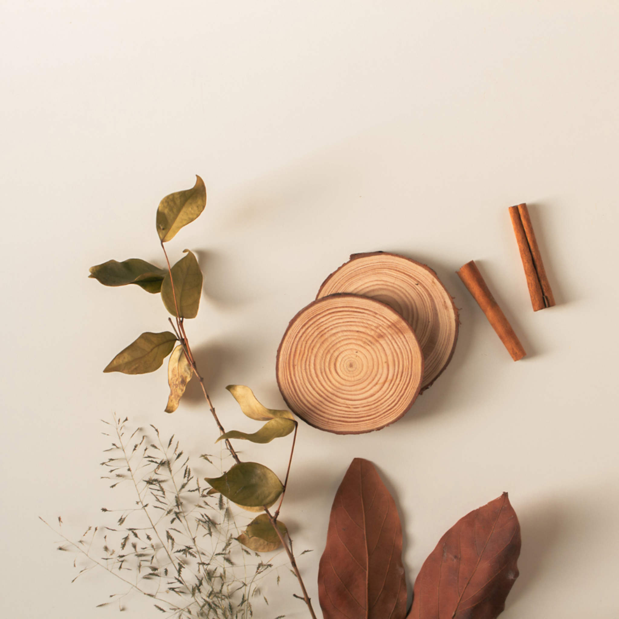 A collection of wood, cinnamon quills and leaves on a beige surface.