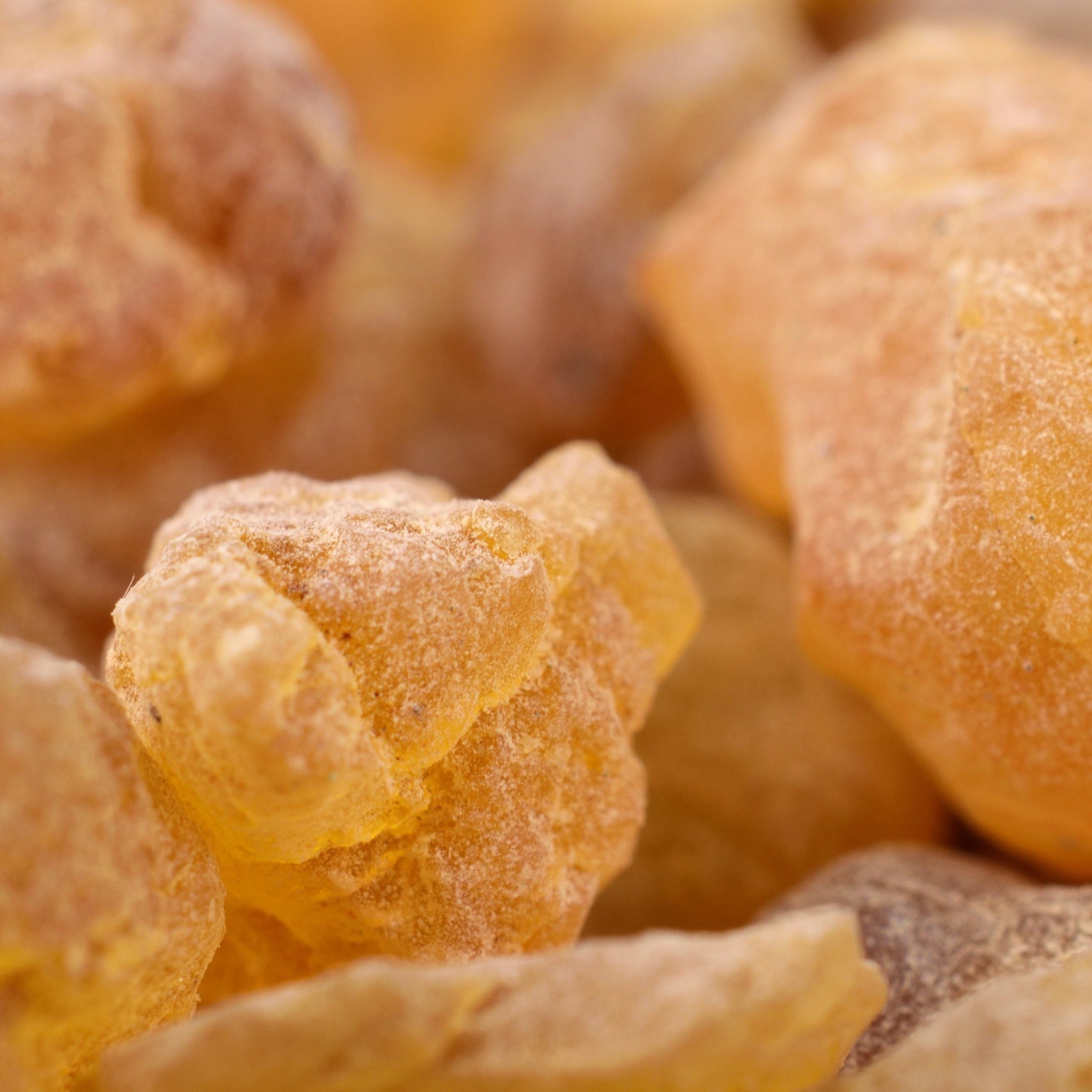 Close up of golden frankincense gum nuggets.