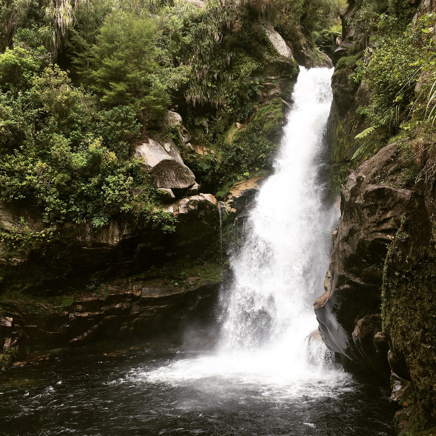 RHYTHM AND FLOW
