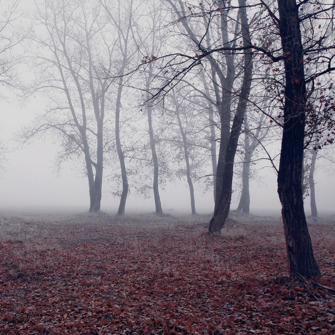 MELANCHOLY