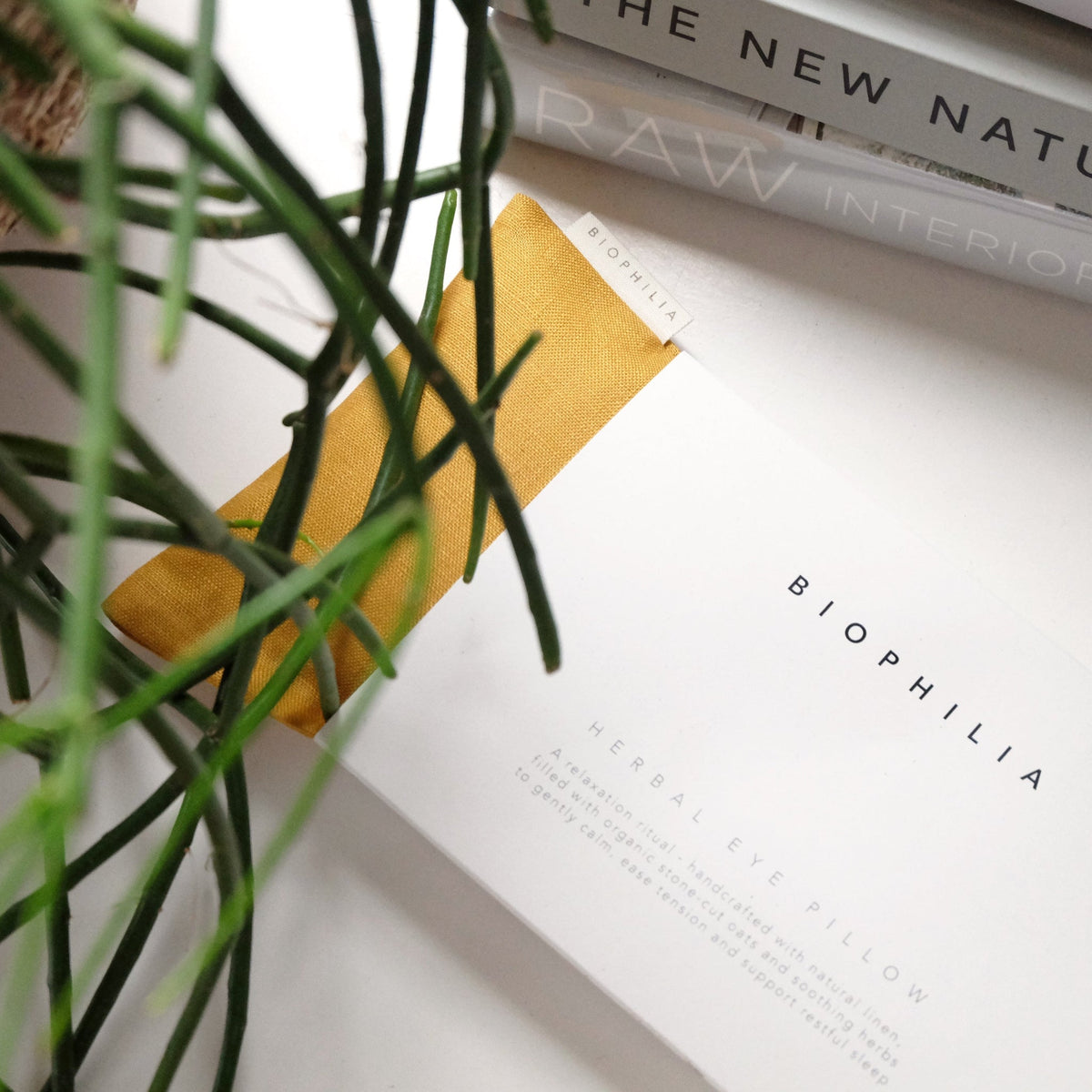 'Biophilia' chamomile eye pillow, with a plant in the foreground.