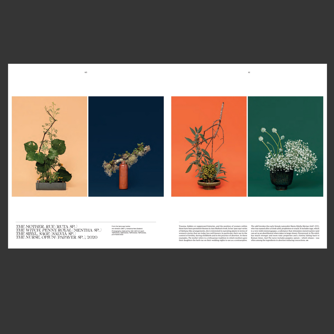 A page inside the Flora book with the &