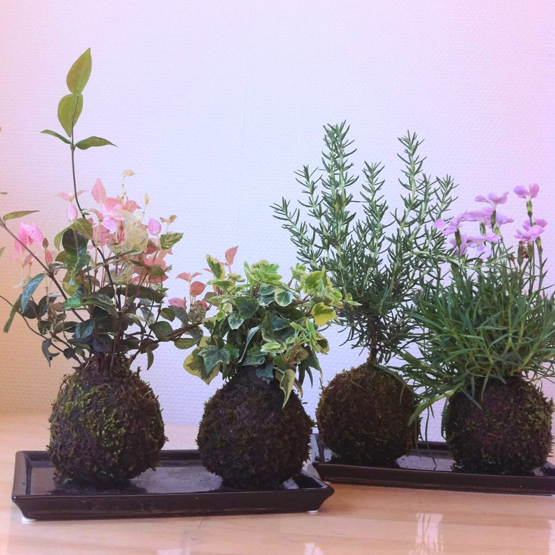 Kokedama Workshop
