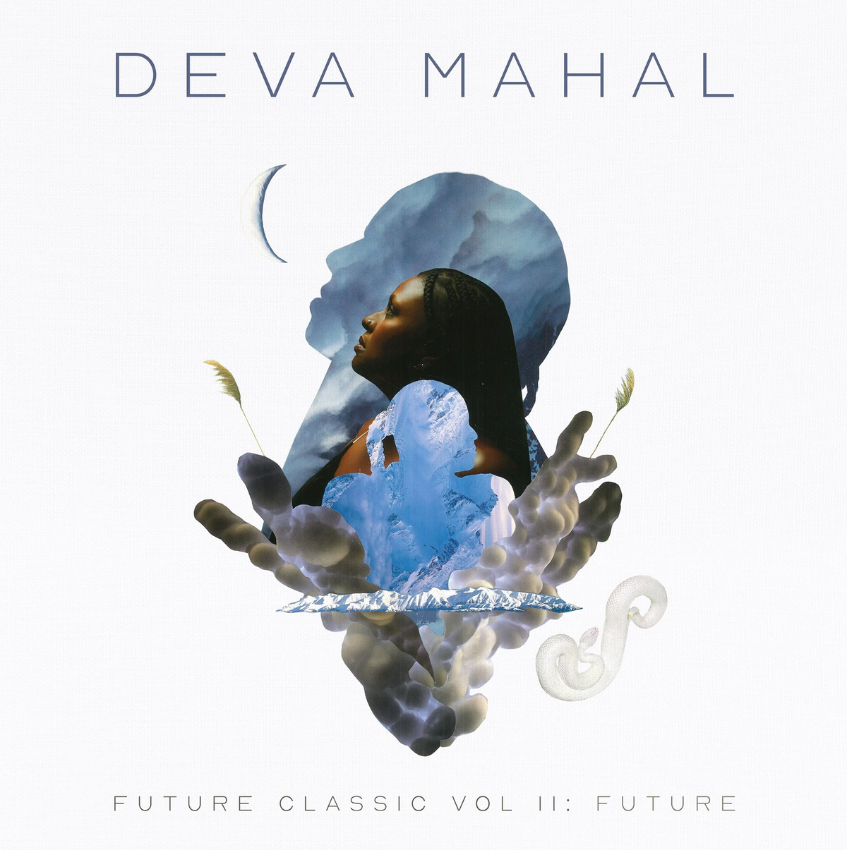 Support Deva Mahal