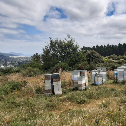 Grafters Manuka Blend Raw Honey