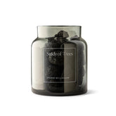 Clear glass jar with black volcanic rocks  and &