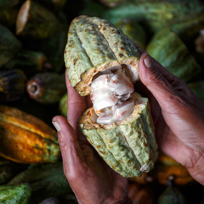 Cacao Butter