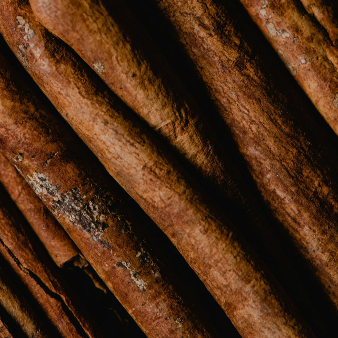 Close-up of cinnamon sticks with a dark background