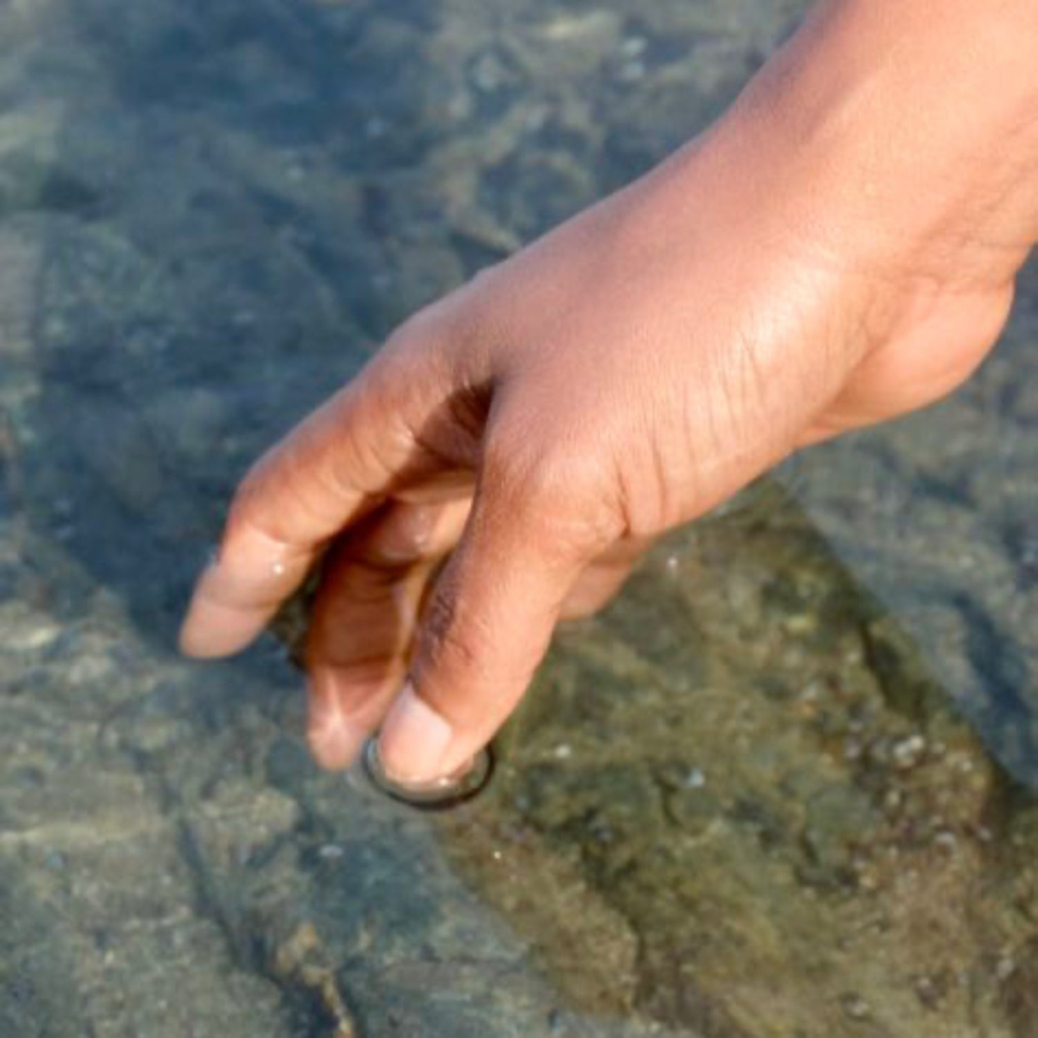 Hand reaching into clear water