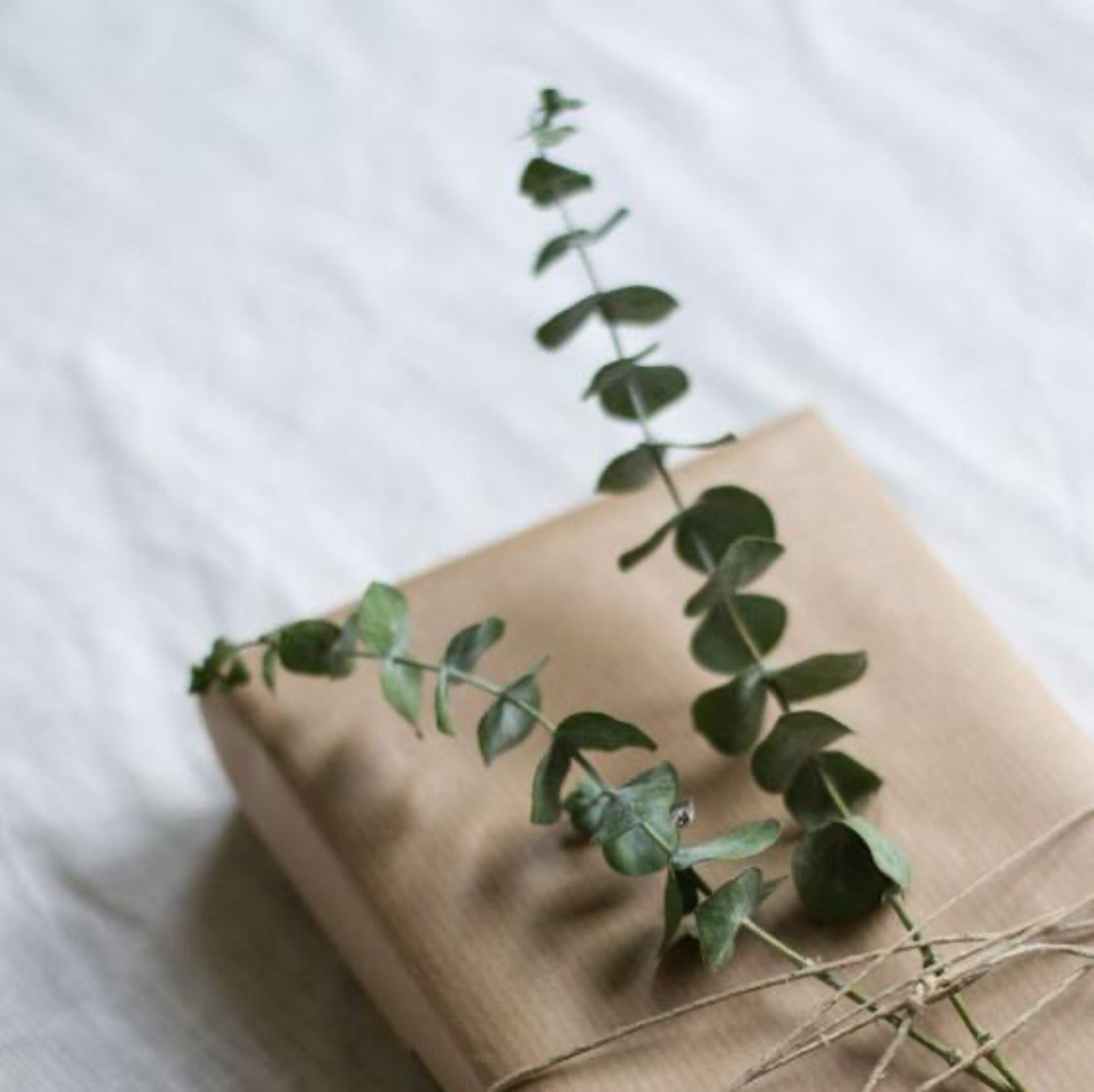 Gift Wrap Your Order