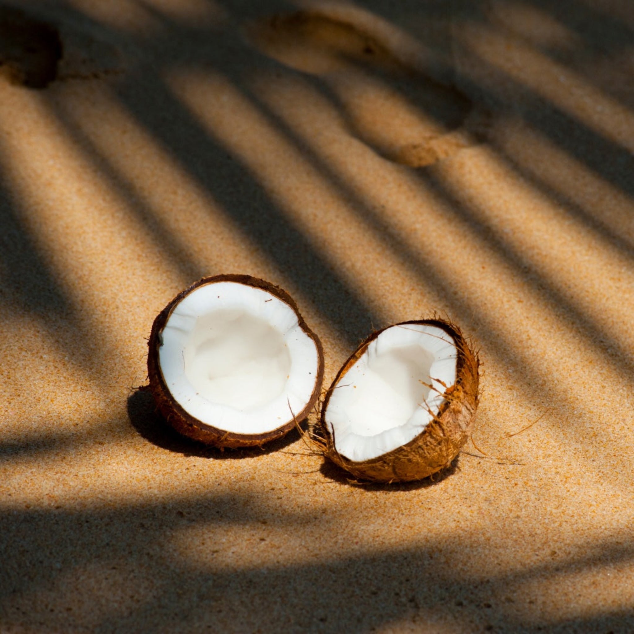 Golden Coconut Candle