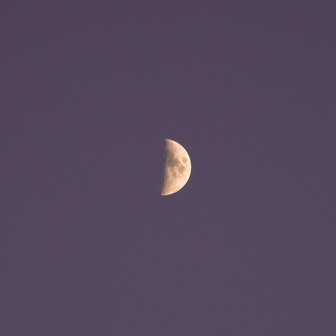 Half moon in the centre of a blue-black night sky.
