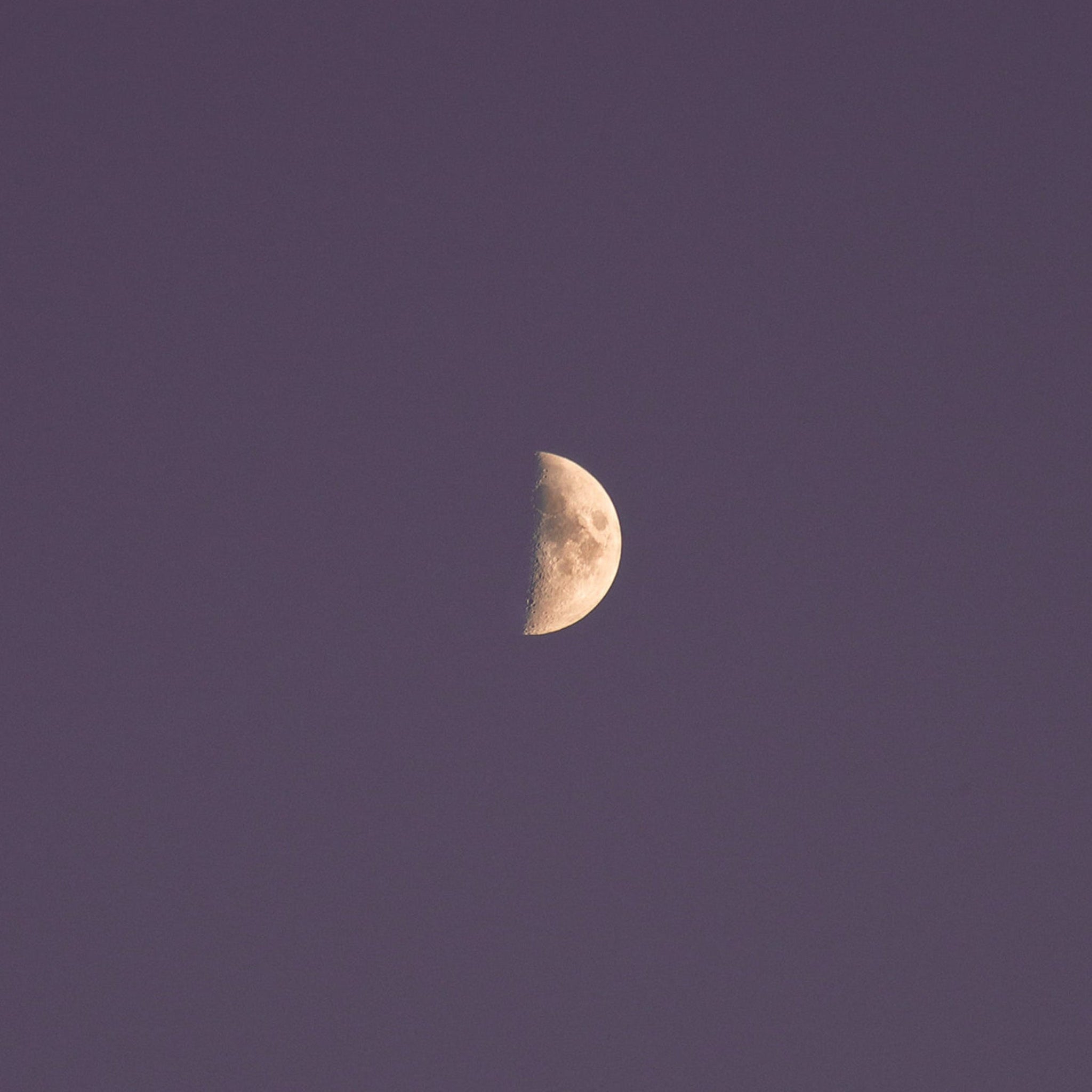 Half moon in the centre of a blue-black night sky.