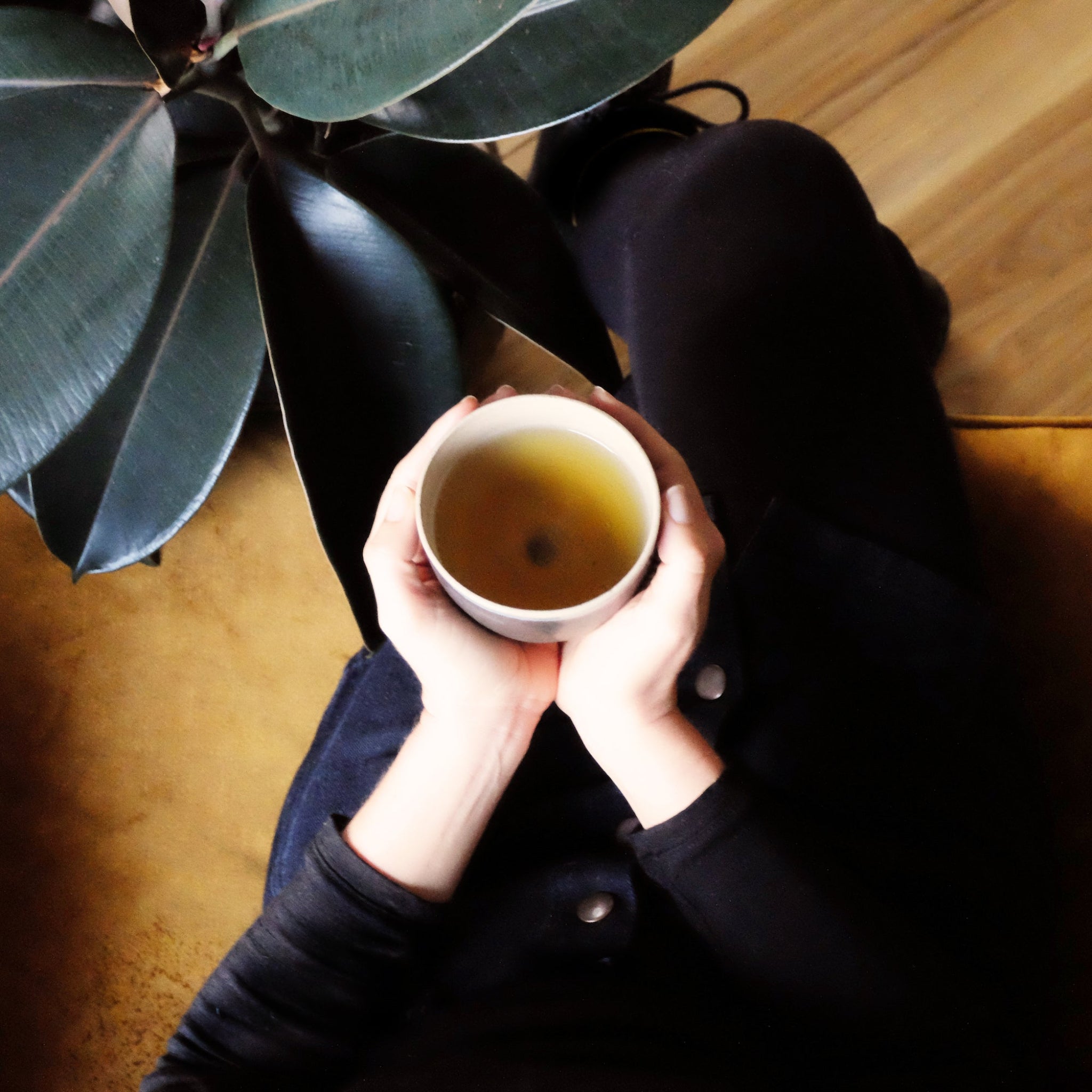 Person holding a cup of tea next to a plant on a wooden floor
