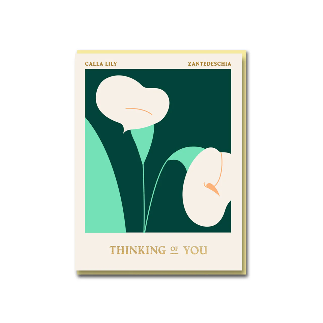 Greeting Card