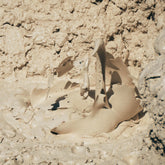 Kaolin clay source from New Zealand earth. 