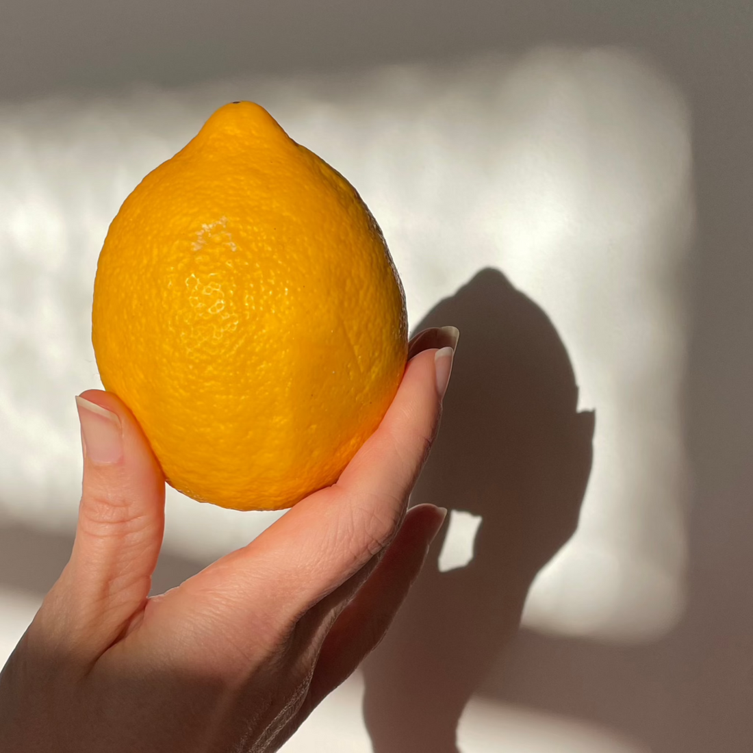 Hand holding lemon in dappled sunlight. 