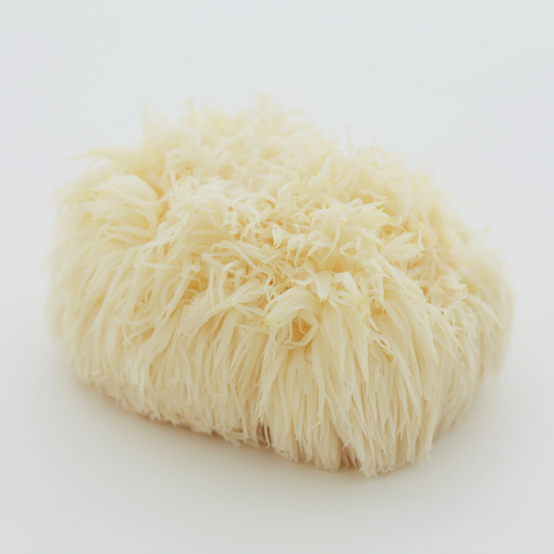Lions Mane Glycetract