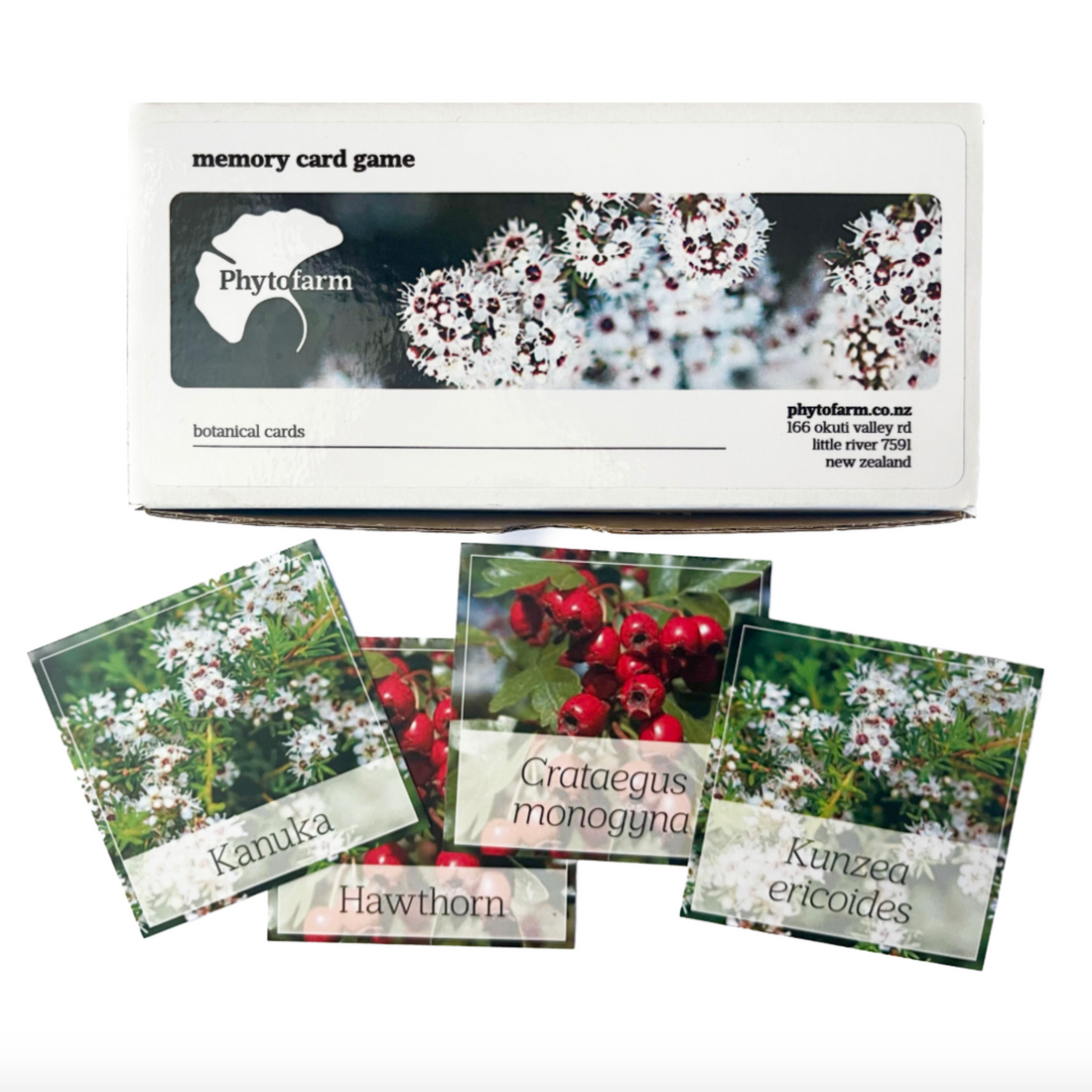 Memory card game box with botanical cards featuring plants and their names.