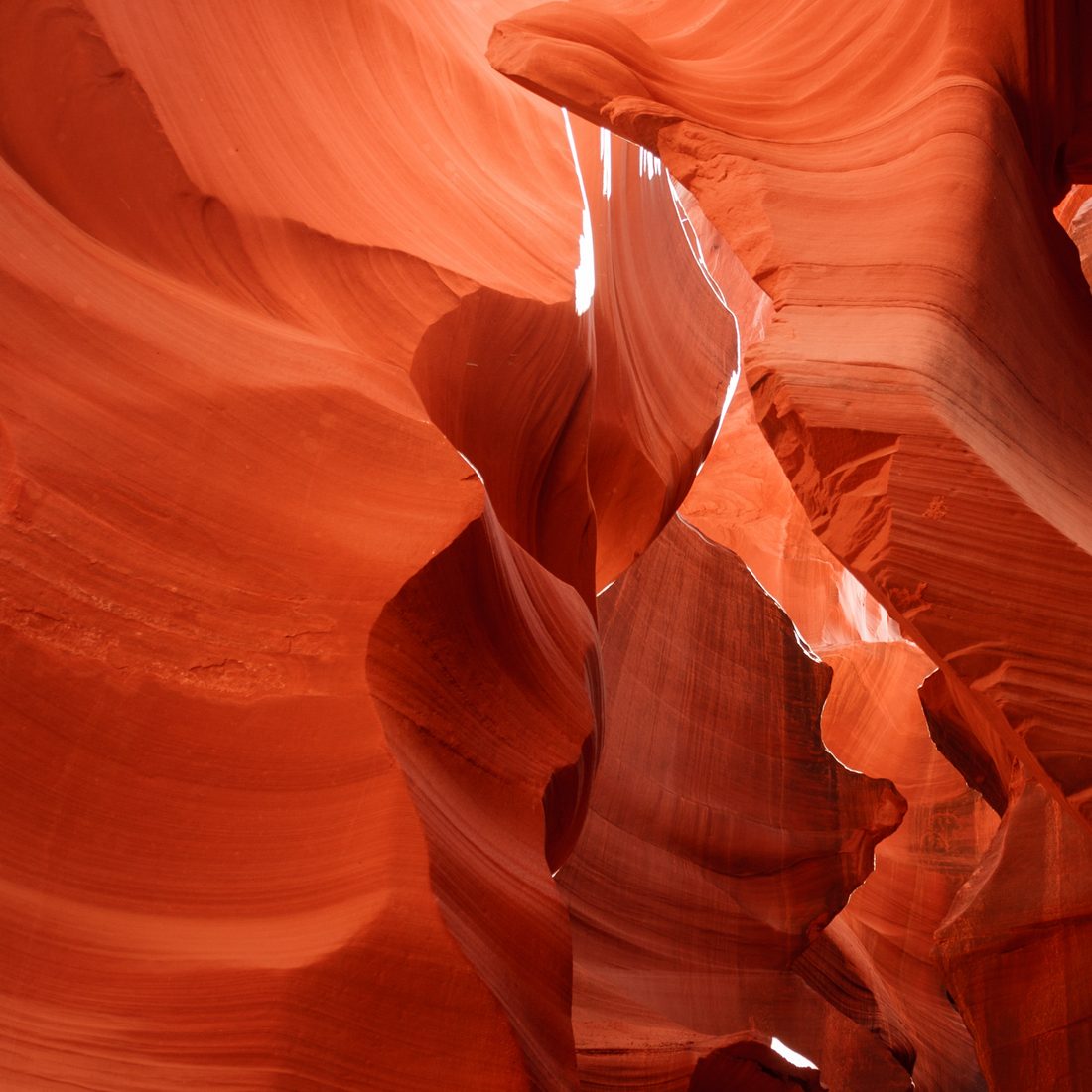 Earthy textured orange rock faces.