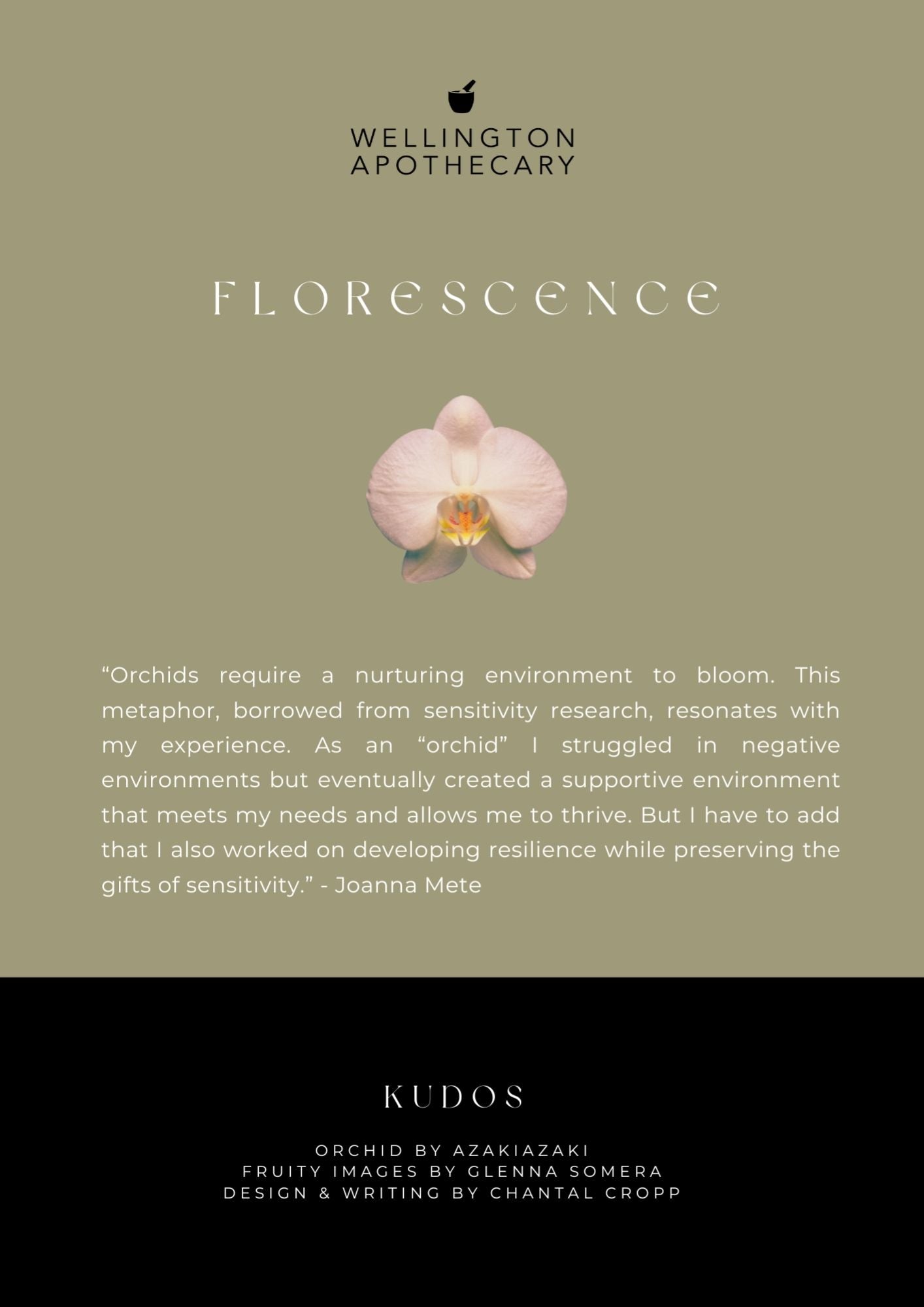 The back page of the florescence e-book that contains a quote by Joanna Mete about the orchid analogy borrowed from sensitivity research. 