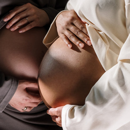 Two pregnant bellies touching while being held in the hands of their mothers in soft sunlight. 