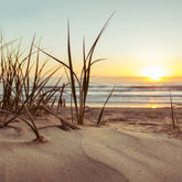 Sunset across the ocean in the background with sand dune and sea grass in the foreground. 