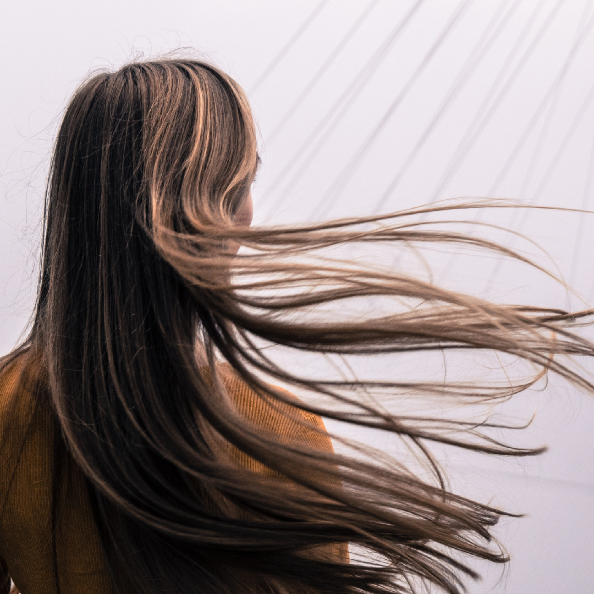 Back view of woman with long straight brown hair being swept in the wind. 