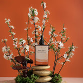 A bottle of Blue Skies tonic displayed with some of its plant ingredients. 