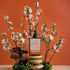 A bottle of Blue Skies tonic displayed with some of its plant ingredients. 