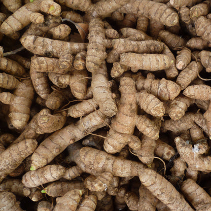 A bunch of turmeric roots. 